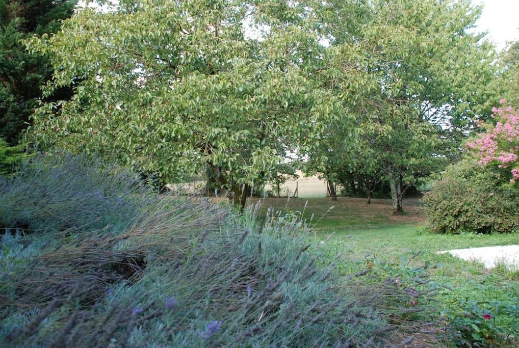Uniquely Private Holiday Villa In The Charente Puyreaux 외부 사진